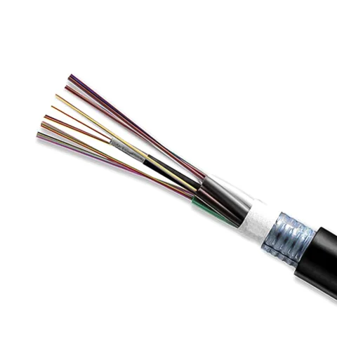 Dây cáp quang Multimode 24 sợi (24 FO) Indoor/Outdoor
