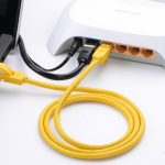 Dây cáp mạng CAT5E Unitek Y-C813 đúc sẵn