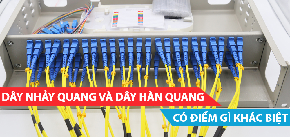 Sự khác biệt giữa dây nhảy quang và dây hàn quang