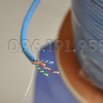 Cáp mạng HD-Link Cat5 UTP đồng nguyên chất