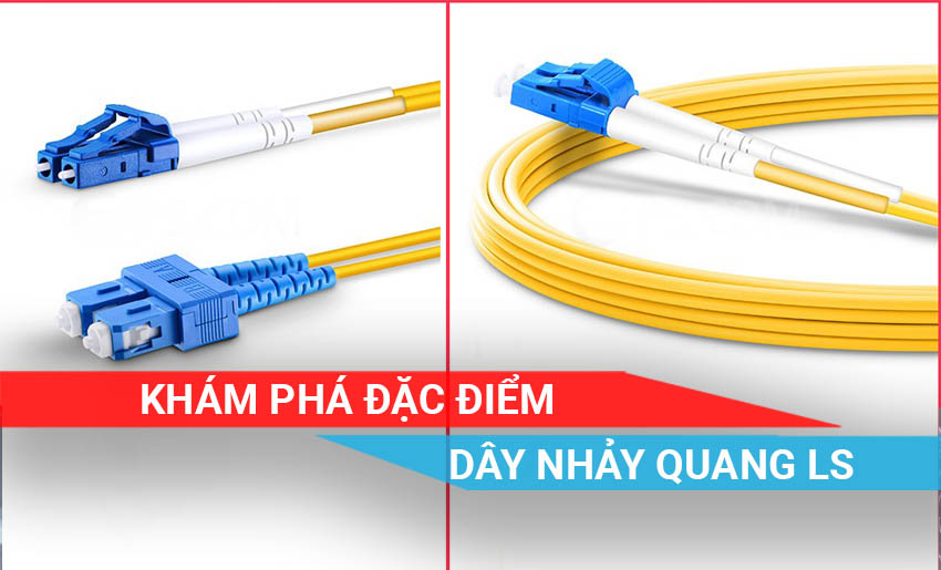 tìm hiểu các đặc điểm từ thương hiệu dây nhảy quang LS
