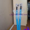 Dây nhảy COMMSCOPE/AMP Cat5e 1.5m