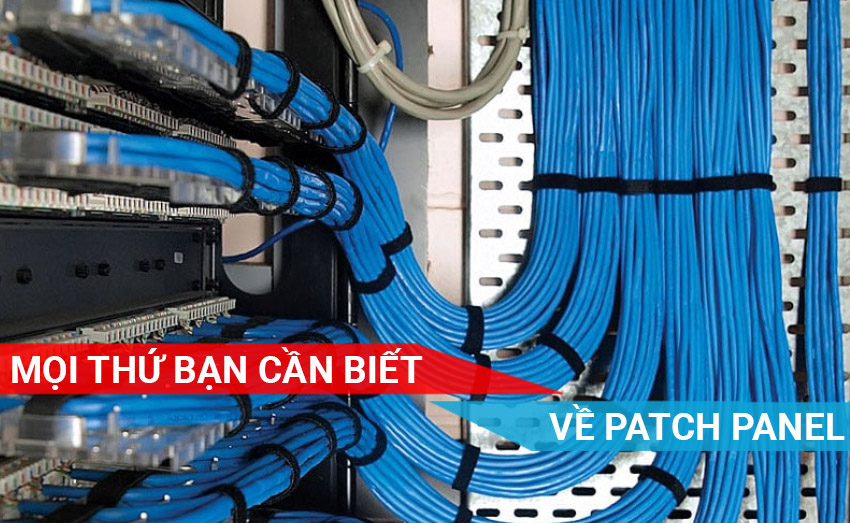 Patch panel - Kiến thức tổng hợp từ A-Z
