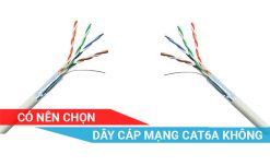 có nên chọn dây cáp mạng cat6a