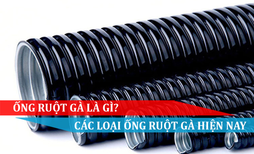 ỐNG RUỘT GÀ LÀ GÌ