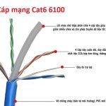Cấu tạo Cáp mạng AMTAKO Cat6 UTP 6100