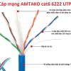Cấu tạo Cáp mạng AMTAKO Cat6 UTP 6222
