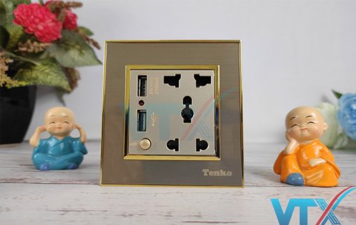 Ổ cắm âm tường USB Tenko TK-F66-B9-45_5