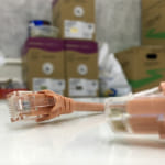 Dây nhảy mạng Legrand cat5e UTP RJ45 độ dài tuỳ chọn PN:632730