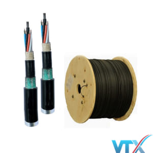 Cáp quang LS Multimode 4FO LT-DJBGSEX/BRN MG4XXX(06T2.00)