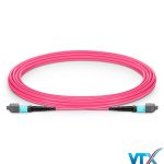 Dây nhảy quang MM OM4 MTP-MTP 12 sợi đầu Female1