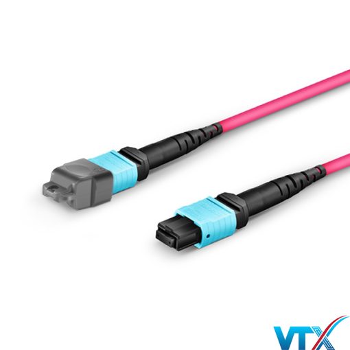 Dây nhảy quang MM OM4 MTP-MTP 12 sợi đầu Female3