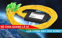 Bộ chia quang Splitter là gì - Lựa chọn sao cho đúng