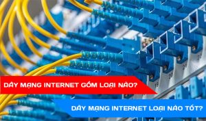 DÂY MẠNG INTERNET GỒM LOẠI NÀO DÂY MẠNG INTERNET LOẠI NÀO TỐT