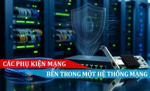 Các phụ kiện mạng trong hệ thống mạng