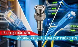 các loại đầu nối sử dụng cho cáp thông tin