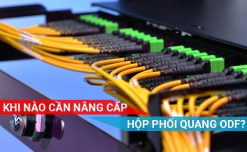 Khi nào cần nâng cấp hộp phối quang ODF