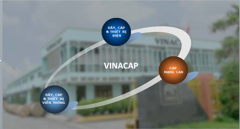 các sản phẩm Vinacap cung cấp
