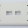 Wallplate 2 Port PANDUIT NK2FIWY (3)