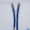 dây nhảy mạng Cat6 UTP PANDUIT màu xanh (3)