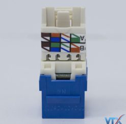 nhân mạng Cat6 UTP RJ45 NK6TMBU (1)