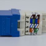 nhân mạng Cat6 UTP RJ45 NK6TMBU (2)