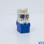 nhân mạng Cat6 UTP RJ45 NK6TMBU (6)