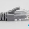 ảnh chụp đầu nối dây nhảy mạng Cat6 UTP Rosenberger CP61-421-12 2m