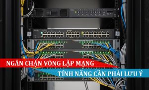 Ngăn chặn vòng lặp mạng (Loop Prevention) - Tính năng bạn cần phải lưu ý