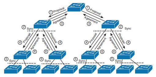Giao thức RSTP là gì? Khác gì với giao thức STP