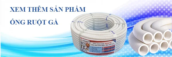 BANNER ỐNG RUỘT GÀ