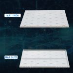 Ảnh chụp mặt trước, mặt sau khay cố định 1UD800 Maxtel