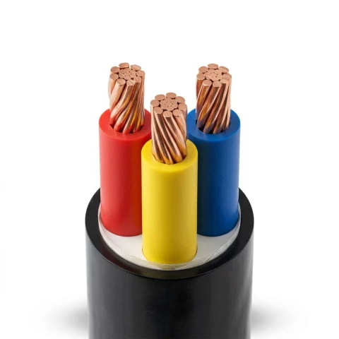 Cáp Điện 3 Lõi Hạ Thế CVV (Cu/PVC/PVC)