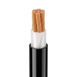 Cáp điện 1 lõi hạ thế CXV (Cu/XLPE/PVC)