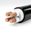 Cáp điện 3 + 2 lõi hạ thế CXV