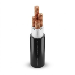 Cáp điện 3 lõi hạ thế CXV (Cu/XLPE/PVC)