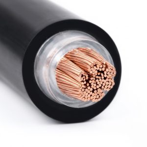 Cáp ngầm 1 lõi hạ thế CXV/DATA (Cu/XLPE/PVC/DATA/PVC)