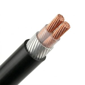 Cáp ngầm 2 lõi hạ thế CXV/DSTA (Cu/XLPE/PVC/DSTA/PVC)