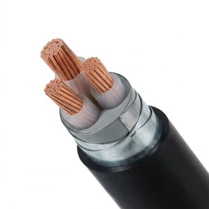 Cáp ngầm 3 lõi hạ thế CXV/DSTA (Cu/XLPE/PVC/DSTA/PVC)