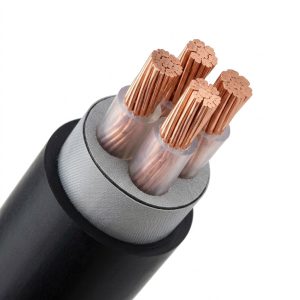 Cáp ngầm (3+1) lõi hạ thế CXV/DSTA (Cu/XLPE/PVC/DSTA/PVC)