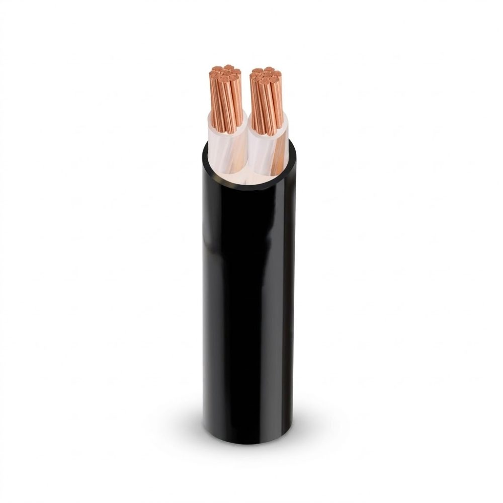 cáp điện hạ thế 2 lõi cxv